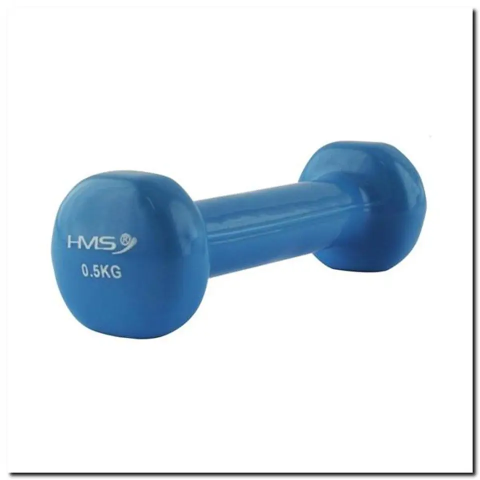 17023 CAST IRON WEIGHT COATED WITH VINYL 0.5 KG HMS at Wasserman.eu