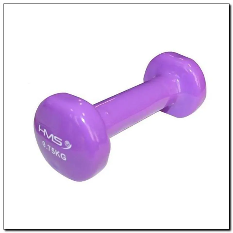 17023 CAST IRON WEIGHT COATED WITH VINYL 0.75 KG HMS at Wasserman.eu