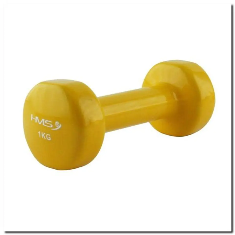 17023 CAST IRON WEIGHT COATED WITH VINYL 1.0 KG HMS at Wasserman.eu