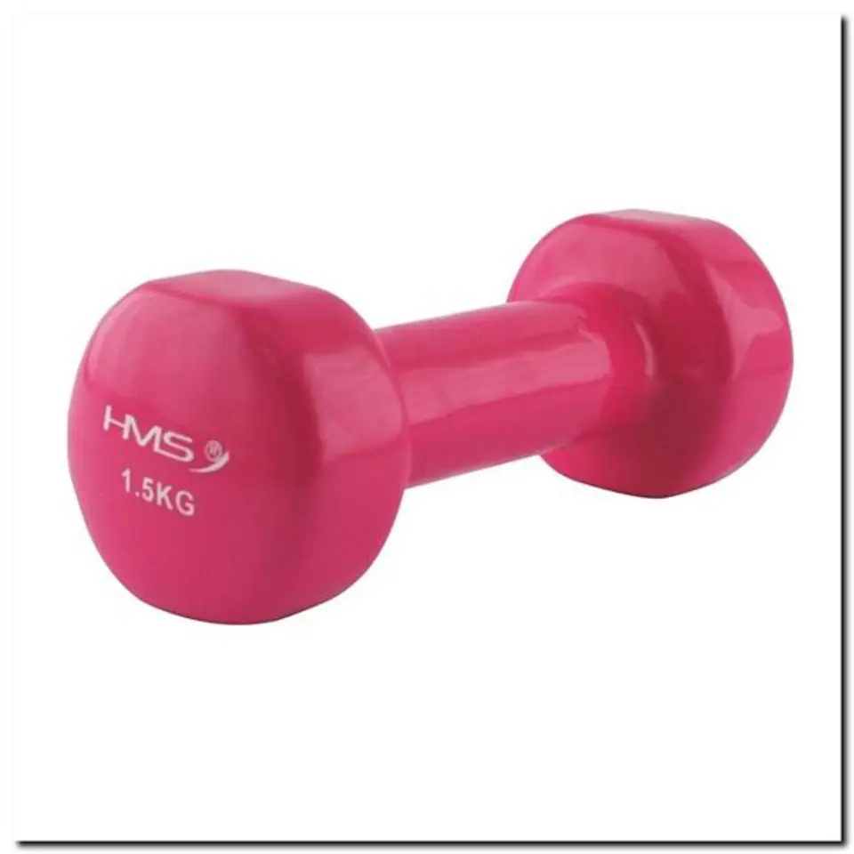 17023 CAST IRON WEIGHT COATED WITH VINYL 1.5 KG HMS at Wasserman.eu