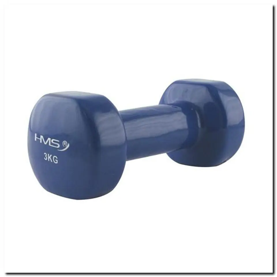 17023 CAST IRON WEIGHT COATED WITH VINYL 3.0 KG HMS at Wasserman.eu
