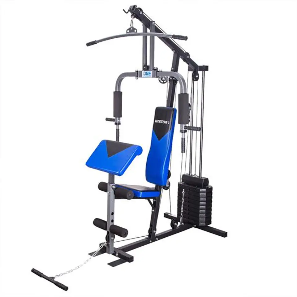 ⁨HECTOR 3 ATLAS 100 LBS (45 KG) ONE FITNESS⁩ at Wasserman.eu