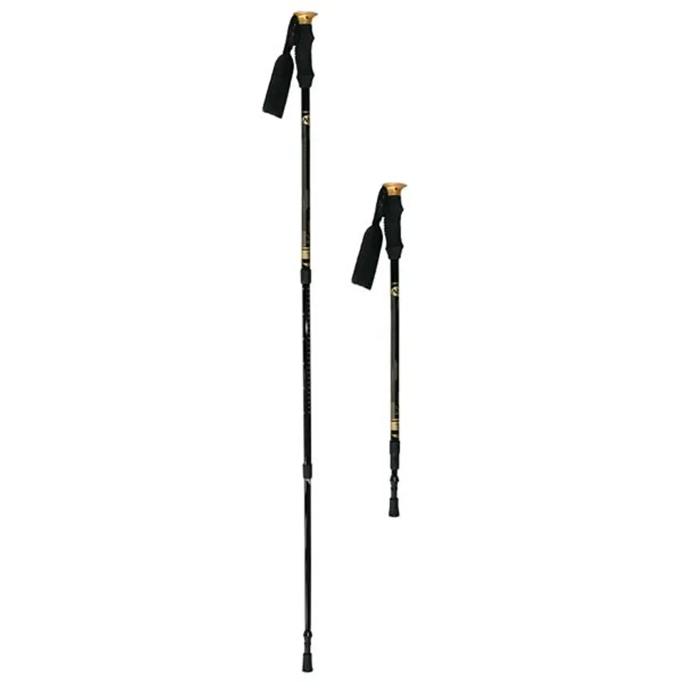 ⁨NW-TK19  KIJE TREKKING/NORDIC WALKING 50% CARBON NILS⁩ w sklepie Wasserman.eu