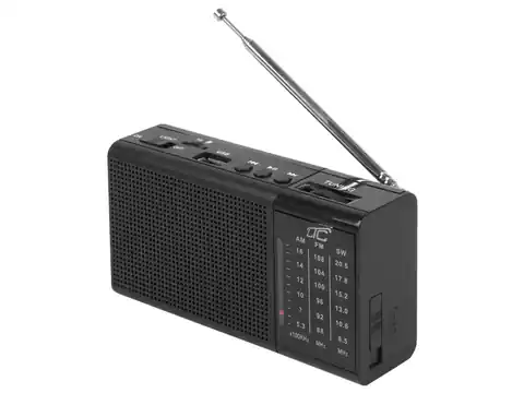 ⁨1 szt.  Radio przenośne LTC REGA z USB, TF, AUX, mini latarką LED i baterią BL-5C, czarne.⁩ w sklepie Wasserman.eu