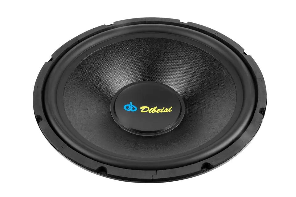 Loudspeaker 15" DBS-G1501 8 Ohm at Wasserman.eu