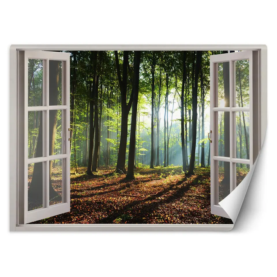 ⁨Wall mural, Window - morning in the forest (Size 140x100)⁩ at Wasserman.eu