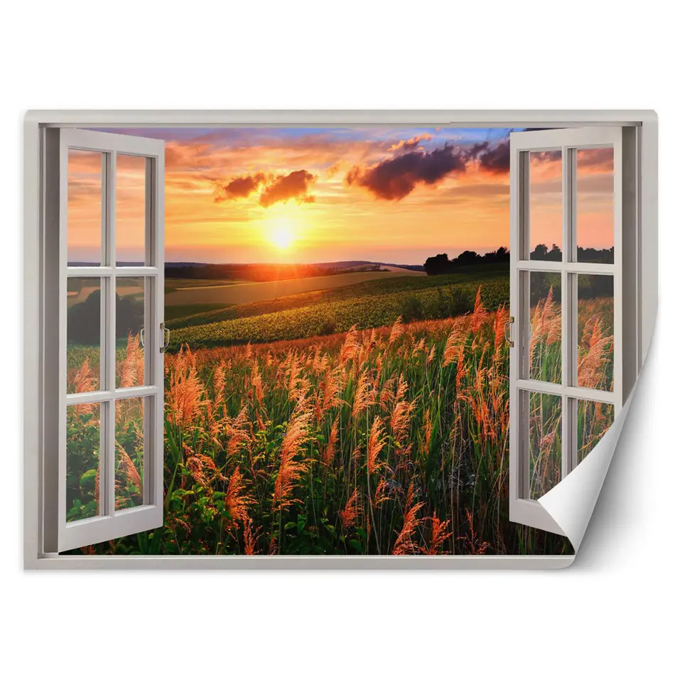 ⁨Fototapeta, Okno z widokiem na łąkę zachód słońca (Rozmiar 140x100)⁩ w sklepie Wasserman.eu