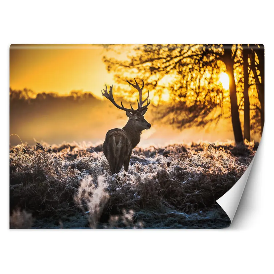 ⁨Wall mural, Deer in the fog (Size 100x70)⁩ at Wasserman.eu