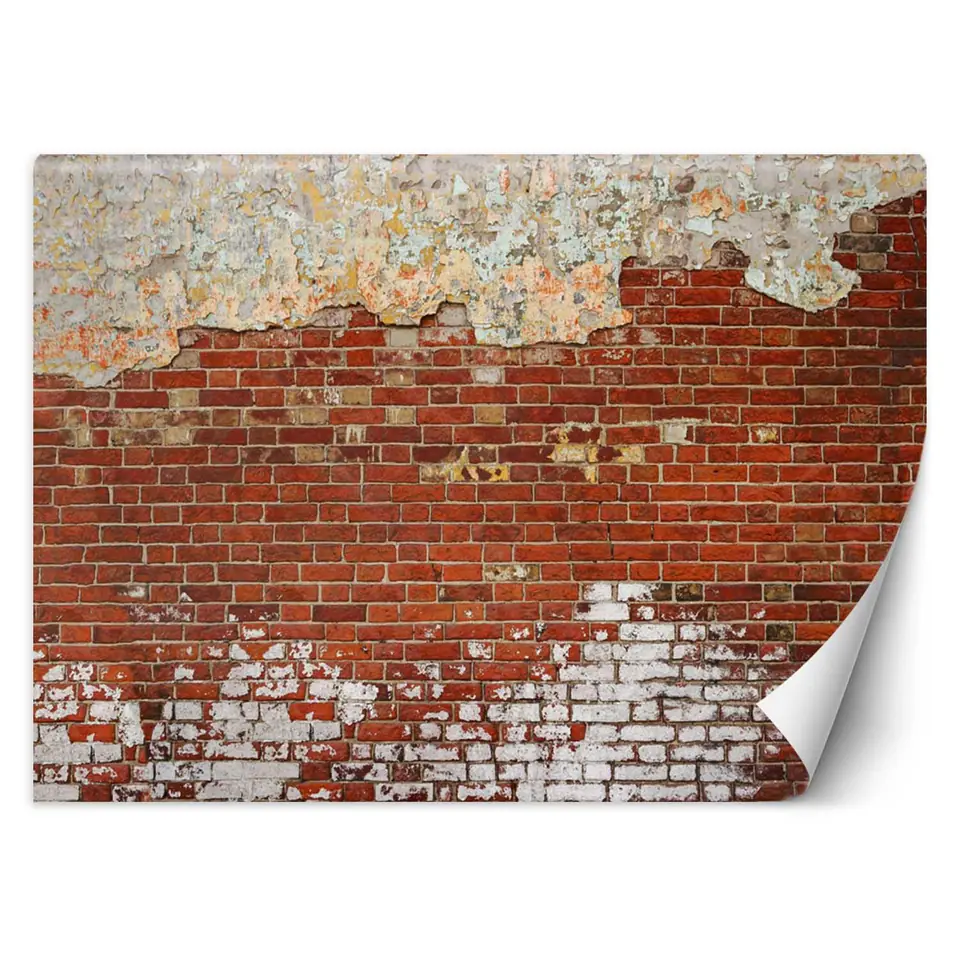 ⁨Wall mural, Brick wall (Size 150x105)⁩ at Wasserman.eu