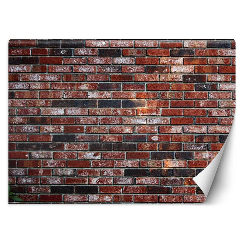 ⁨Fototapeta, Mur z czerwonej cegły (Rozmiar 450x315)⁩ w sklepie Wasserman.eu