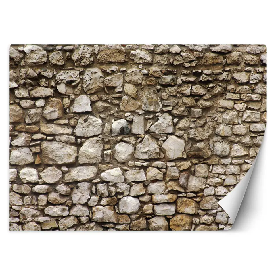 ⁨Wall mural, Stone wall (Size 200x140)⁩ at Wasserman.eu