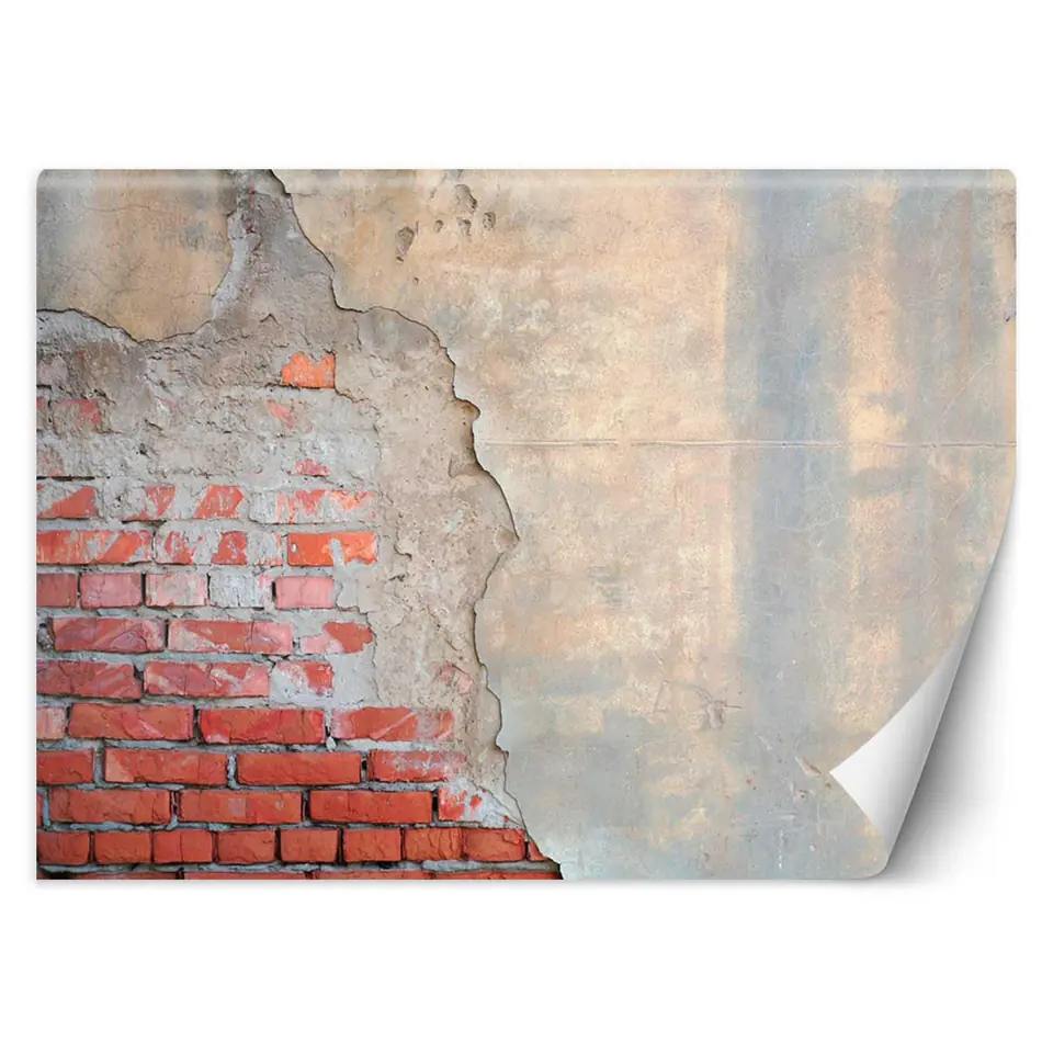 ⁨Fototapeta, Mur z cegły (Rozmiar 350x245)⁩ w sklepie Wasserman.eu