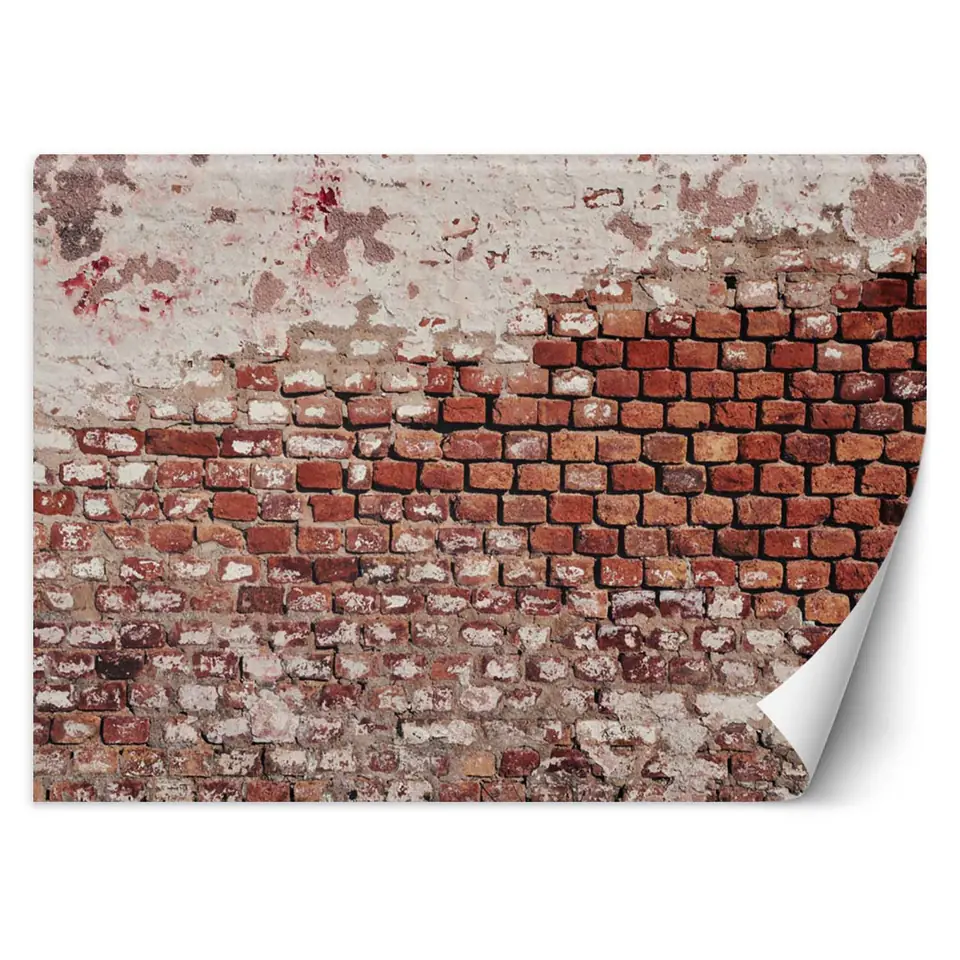 ⁨Fototapeta, Stary ceglany mur (Rozmiar 100x70)⁩ w sklepie Wasserman.eu