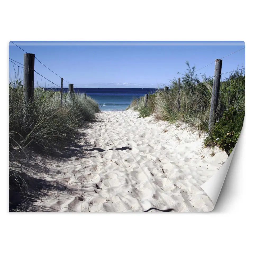 ⁨Fototapeta, Droga na plażę wydmy piasek (Rozmiar 450x315)⁩ w sklepie Wasserman.eu