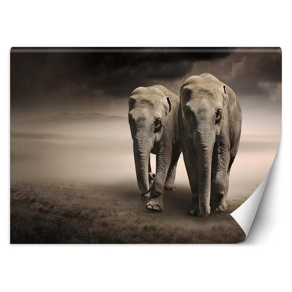 ⁨Wall mural, Pair of elephants (Size 150x105)⁩ at Wasserman.eu