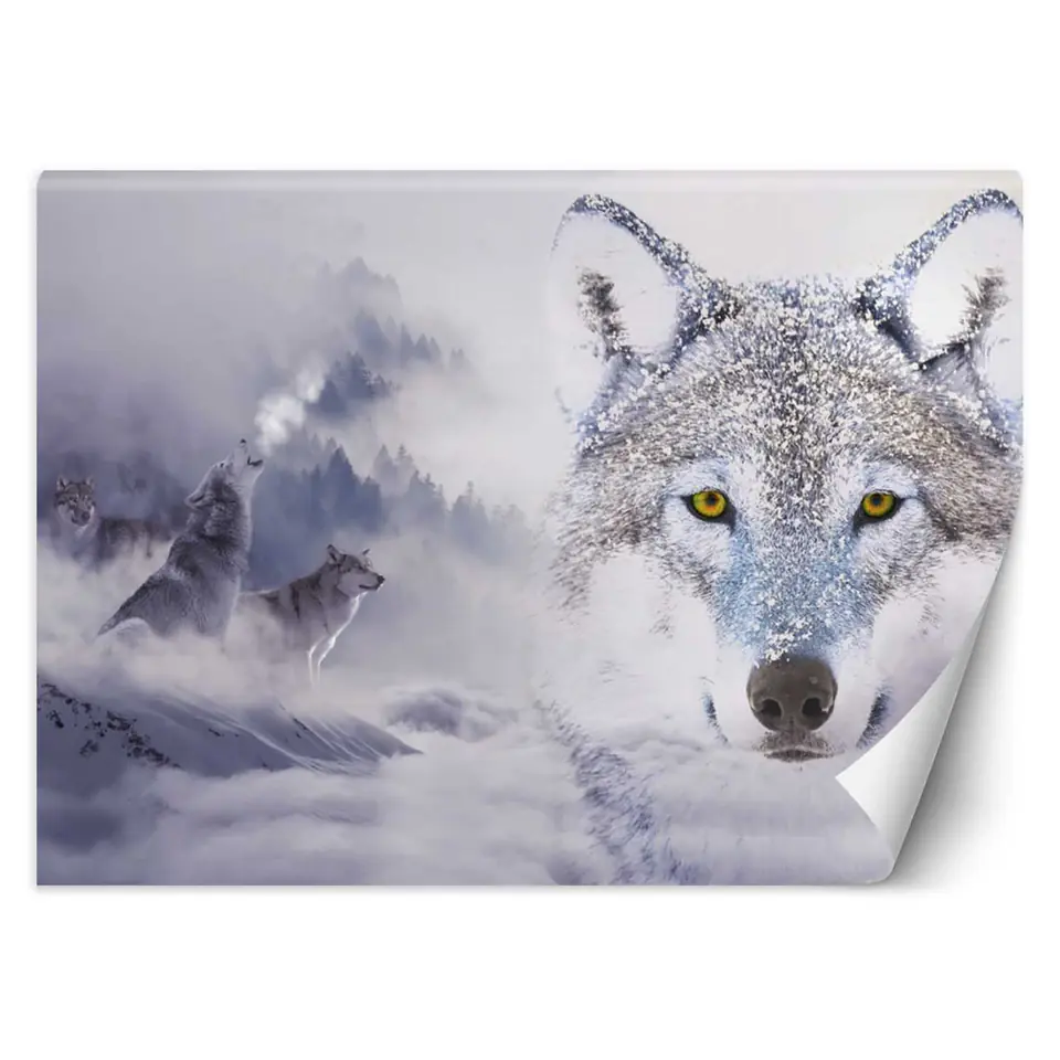 ⁨Fototapeta, Wilki zima las we mgle (Rozmiar 450x315)⁩ w sklepie Wasserman.eu