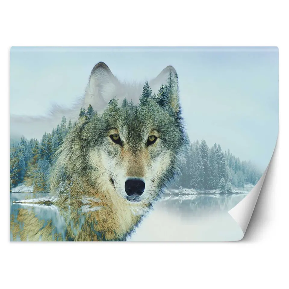 ⁨Fototapeta, Wilk jezioro (Rozmiar 150x105)⁩ w sklepie Wasserman.eu