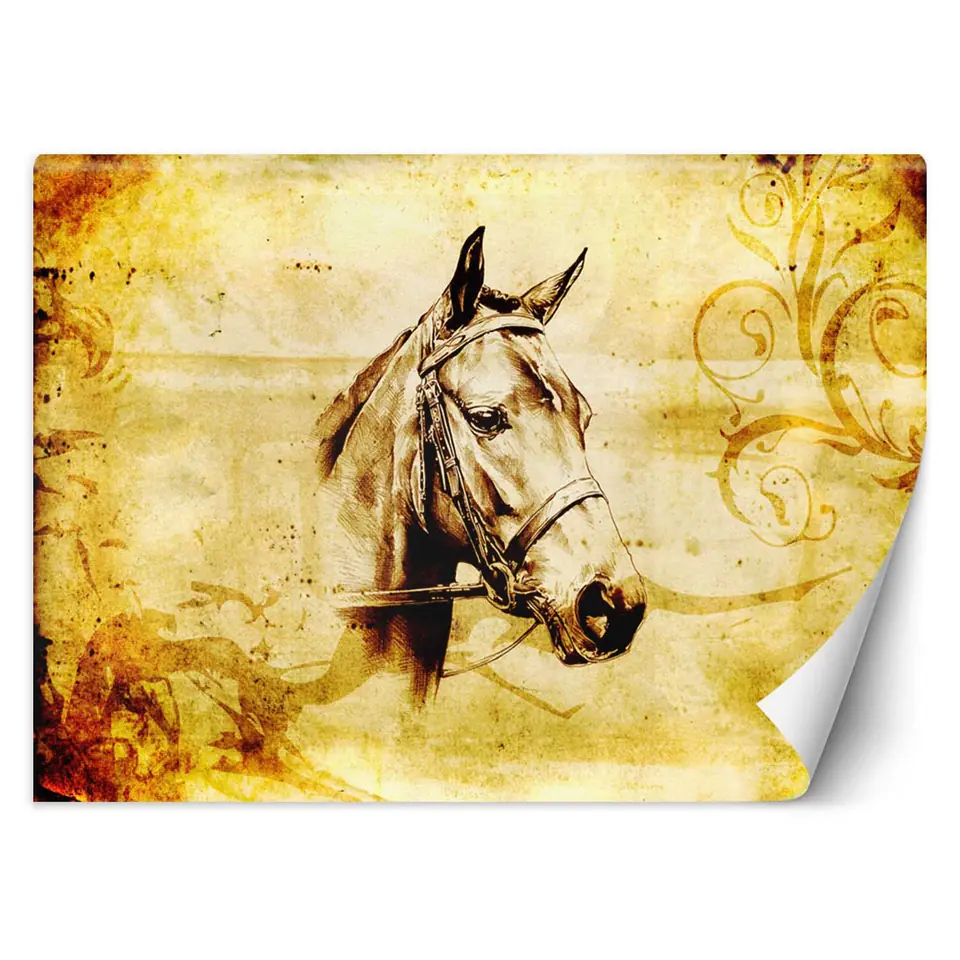 ⁨Wall mural, Horse sketch (Size 100x70)⁩ at Wasserman.eu