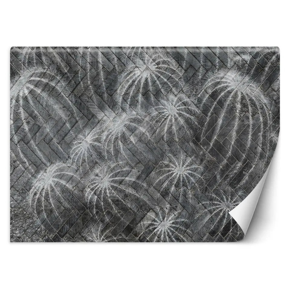 ⁨Wall mural, Cacti in grey (Size 300x210)⁩ at Wasserman.eu