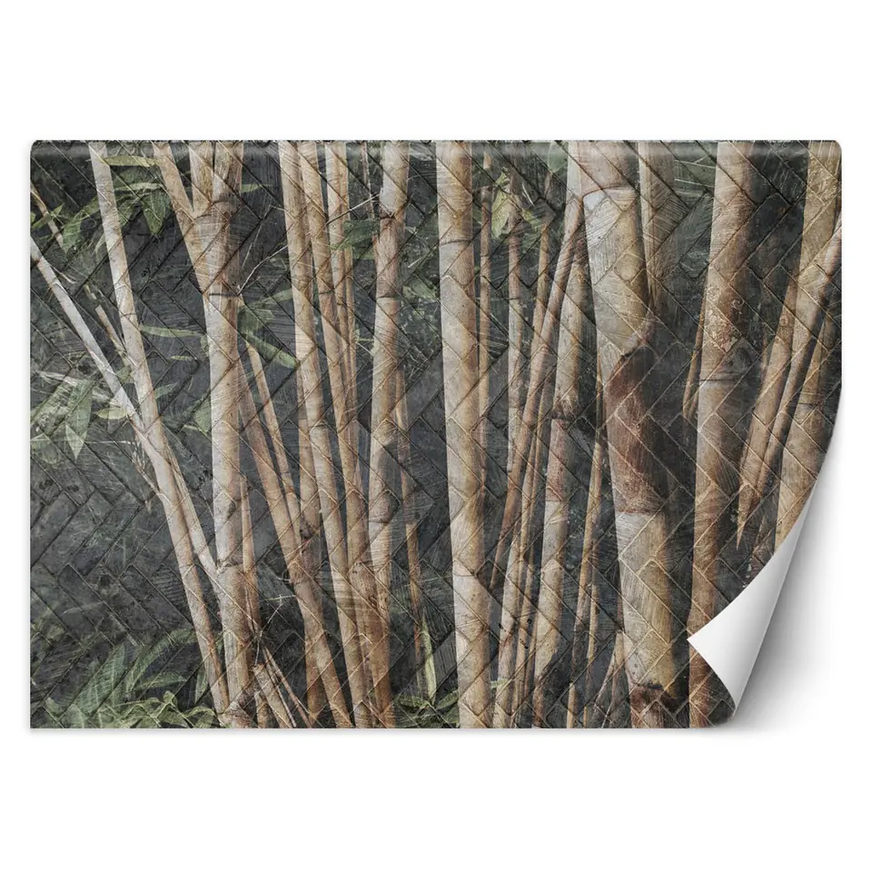 ⁨Wall mural, Bamboo forest (Size 300x210)⁩ at Wasserman.eu
