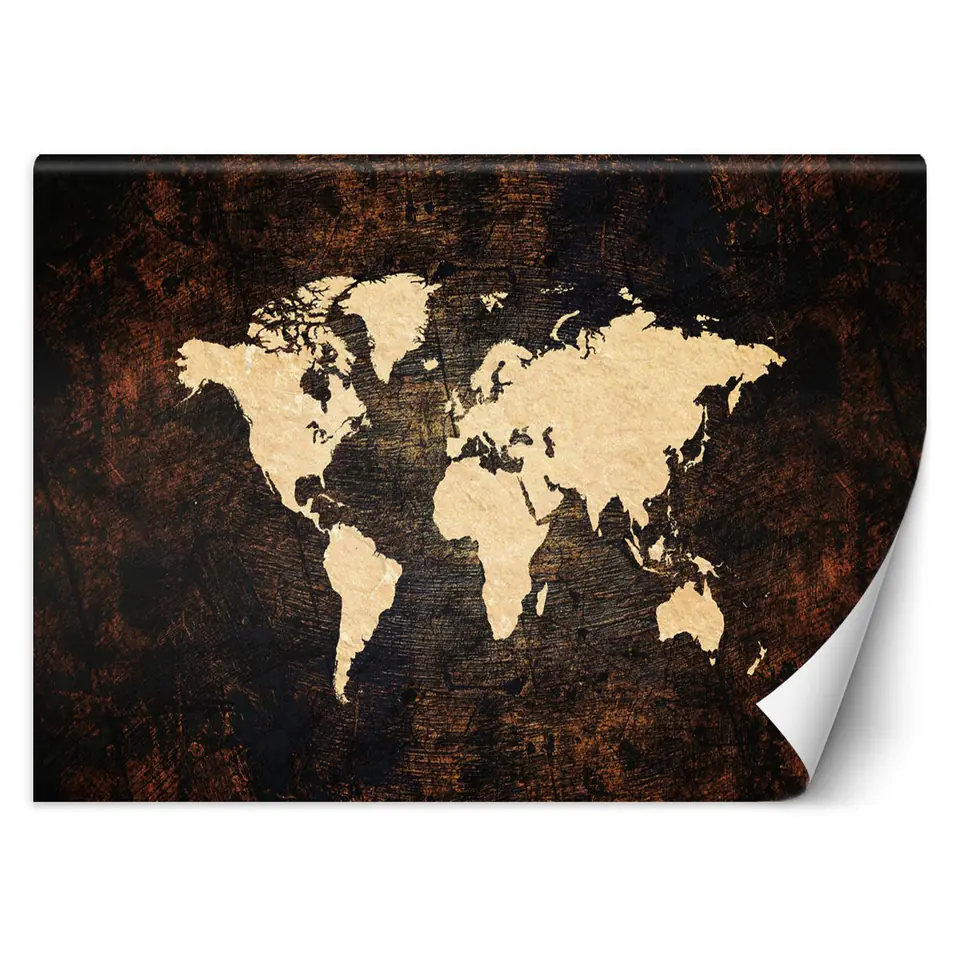 ⁨Wall mural, World map brown (Size 350x245)⁩ at Wasserman.eu