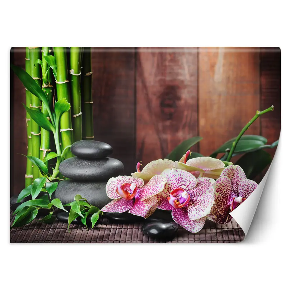⁨Wall mural, Orchid with bamboo (Size 200x140)⁩ at Wasserman.eu