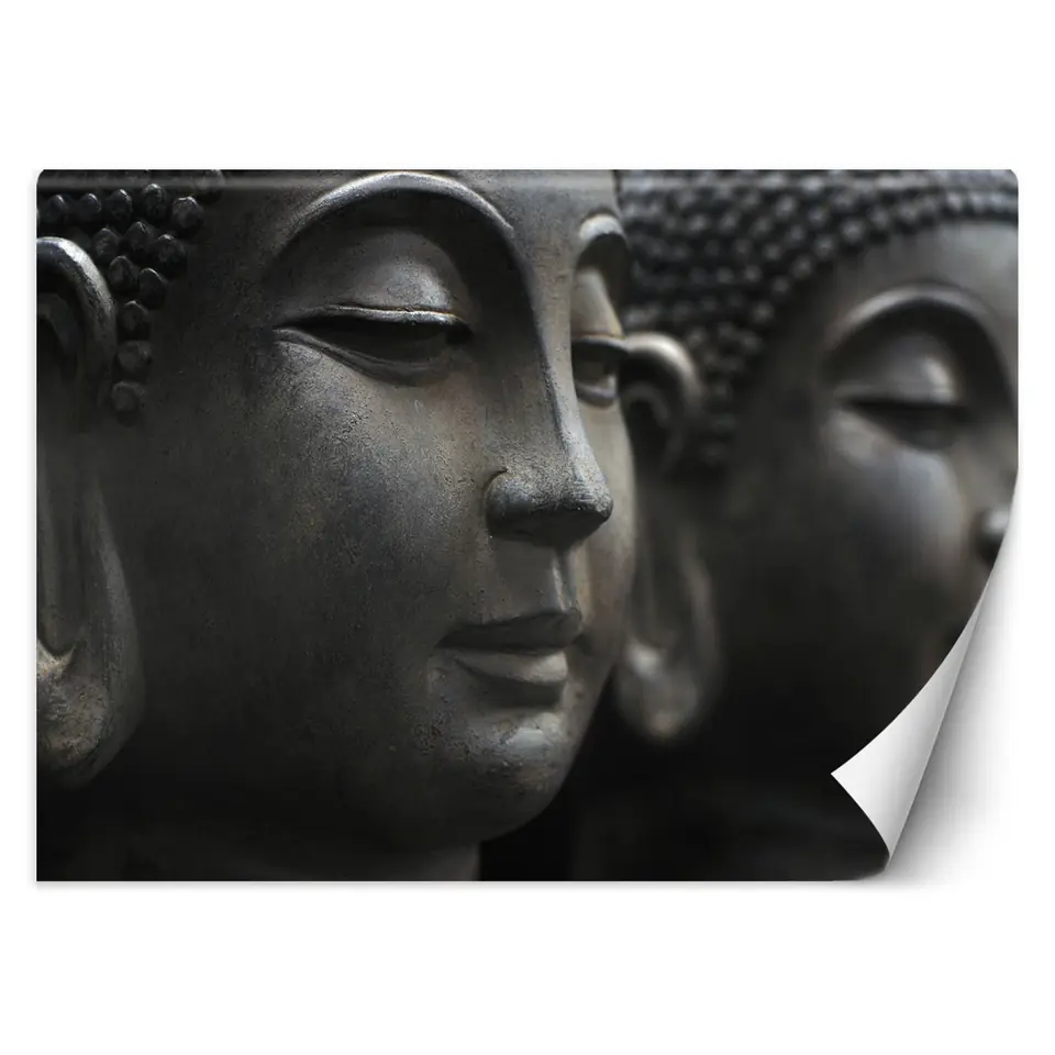 ⁨Wall mural, Meditating Buddha (Size 450x315)⁩ at Wasserman.eu