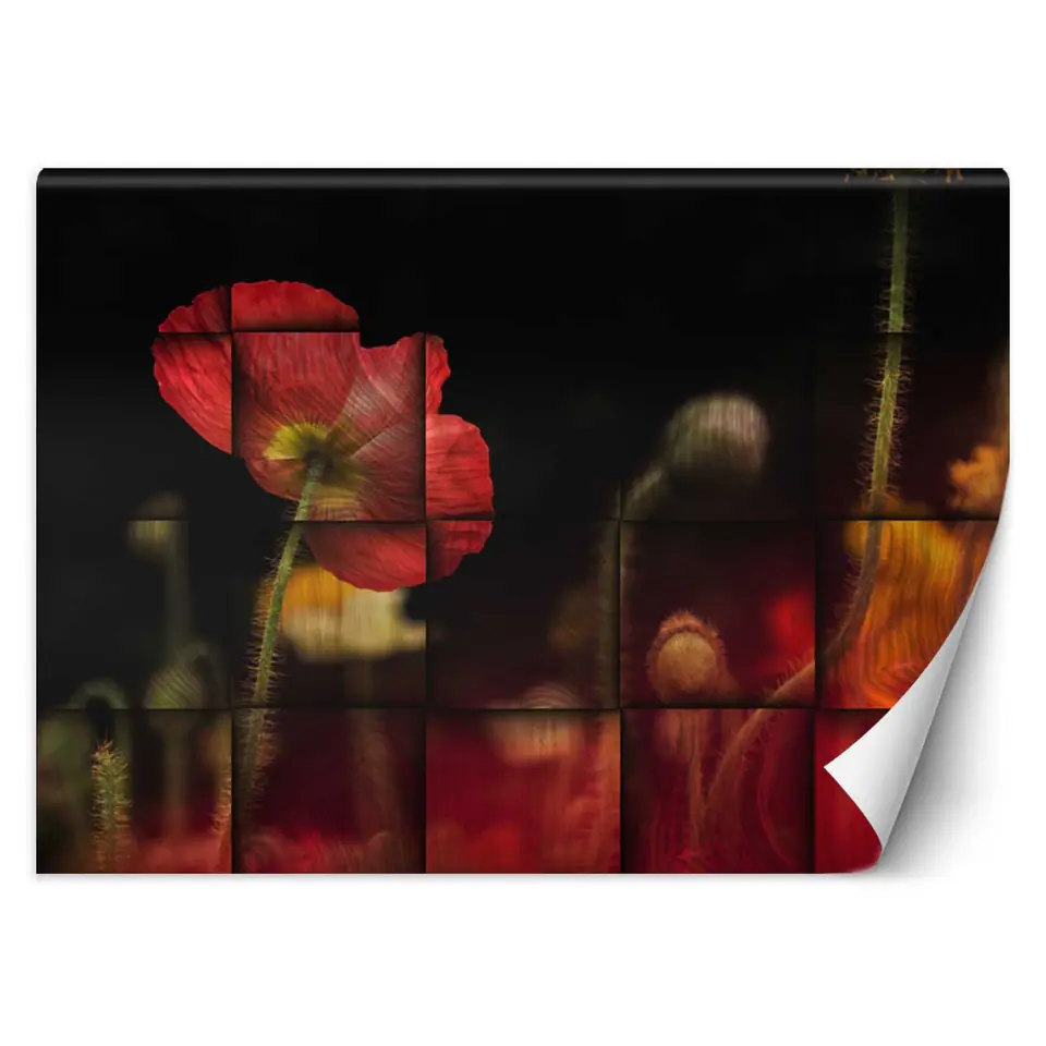 ⁨Wall mural, Red poppy flower (Size 150x105)⁩ at Wasserman.eu