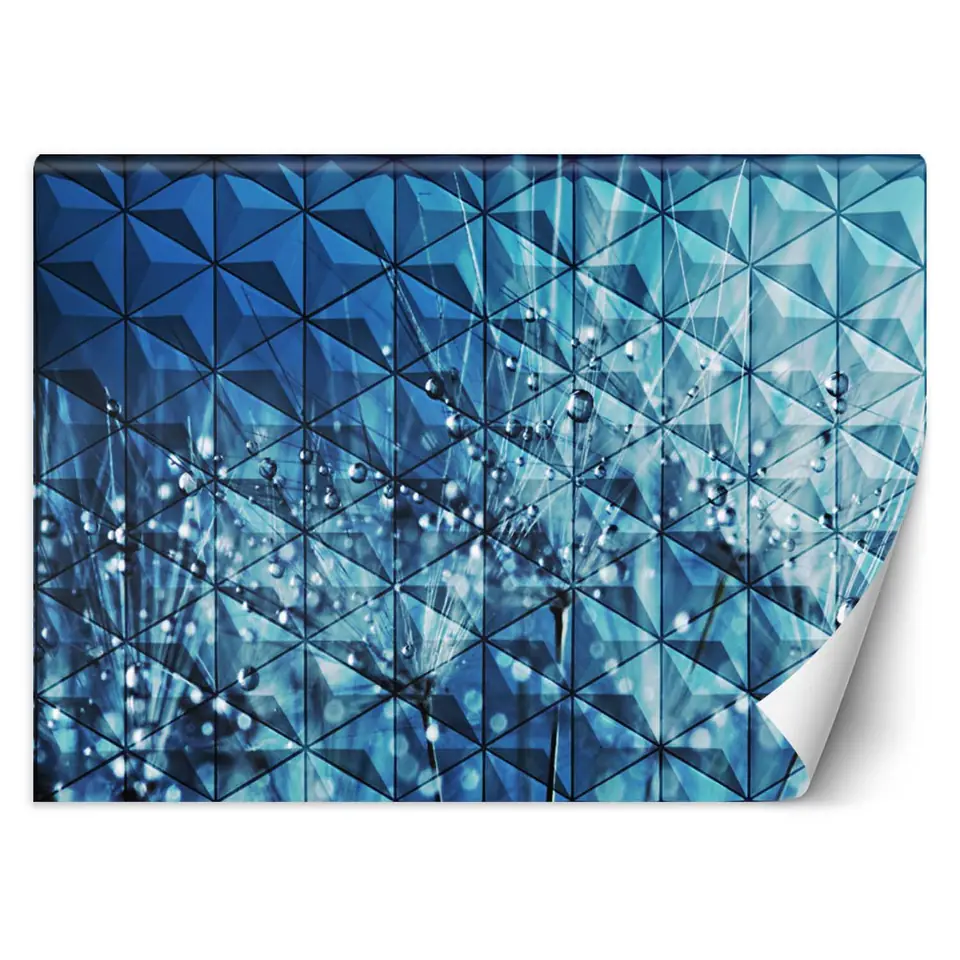 ⁨Fototapeta, Krople rosy na dmuchawcu (Rozmiar 150x105)⁩ w sklepie Wasserman.eu