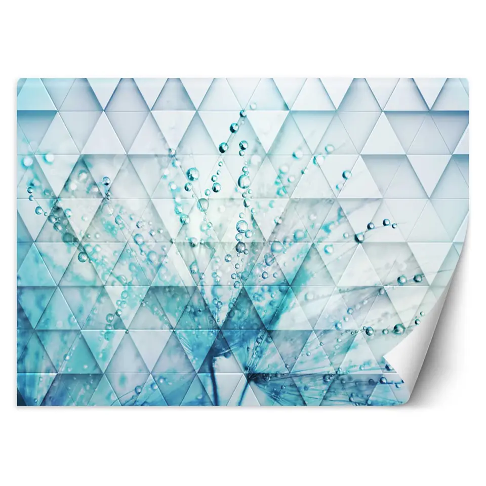 ⁨Wall mural, Dandelion in dewdrops (Size 250x175)⁩ at Wasserman.eu