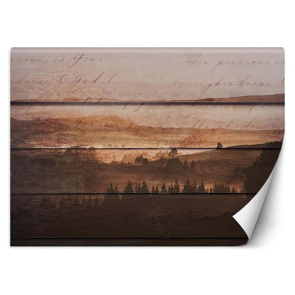 ⁨Wall mural, Vintage woodboard (Size 450x315)⁩ at Wasserman.eu
