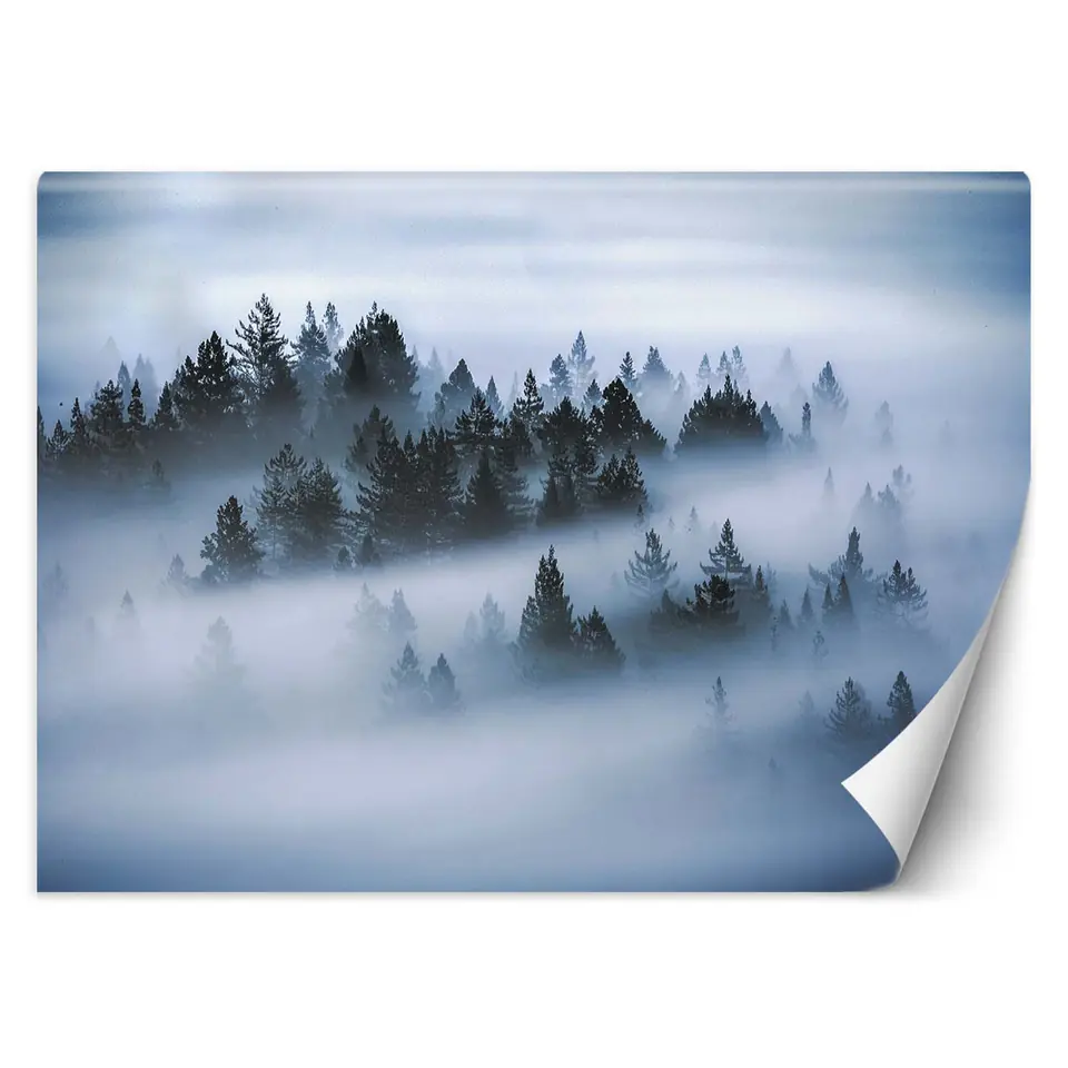 ⁨Fototapeta, Las we mgle (Rozmiar 450x315)⁩ w sklepie Wasserman.eu
