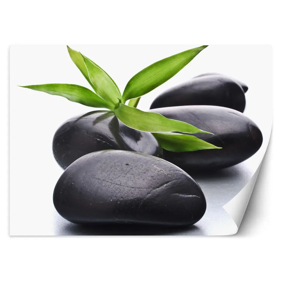 ⁨Wall mural, Zen stones and leaf (Size 250x175)⁩ at Wasserman.eu