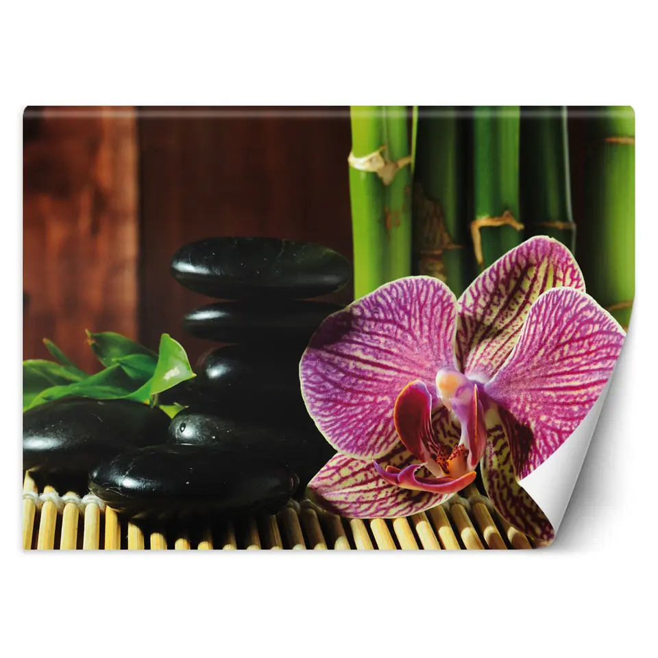 ⁨Fototapeta, Orchidea kamienie zen bambus (Rozmiar 200x140)⁩ w sklepie Wasserman.eu