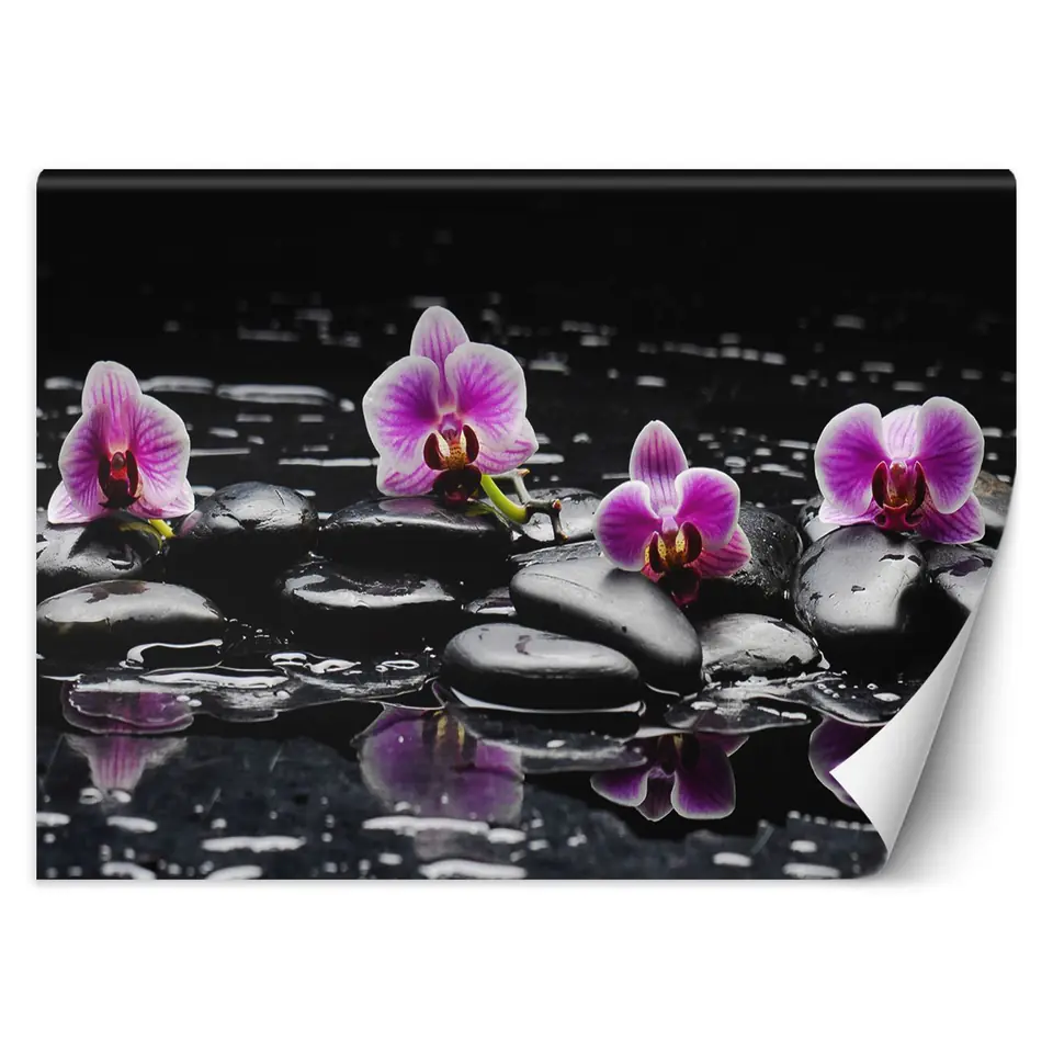 ⁨Fototapeta, Kamienie zen orchidea (Rozmiar 150x105)⁩ w sklepie Wasserman.eu