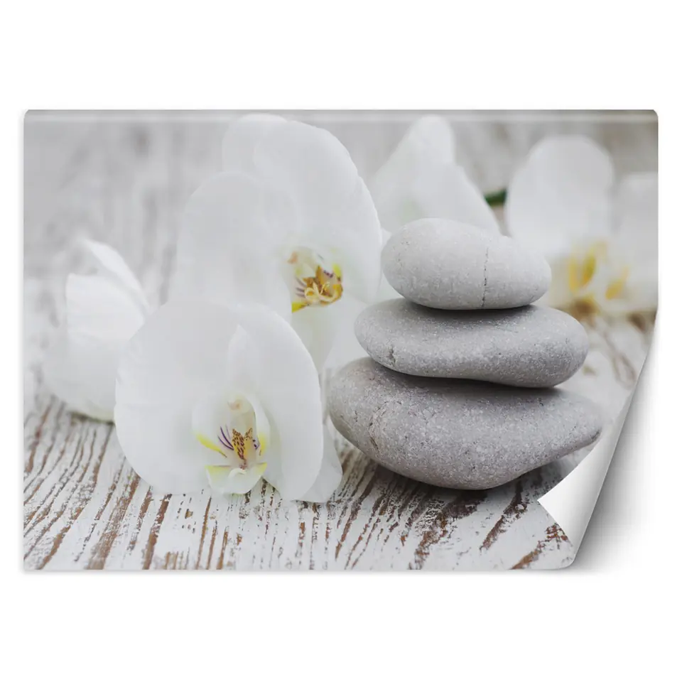⁨Fototapeta, Kwiaty kamienie zen (Rozmiar 350x245)⁩ w sklepie Wasserman.eu