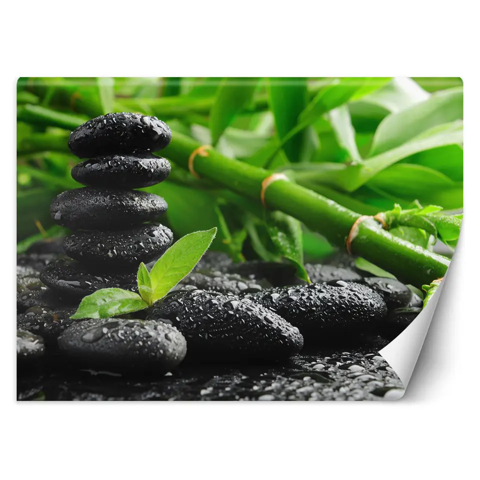 ⁨Wall mural, Bamboo and Zen stones (Size 450x315)⁩ at Wasserman.eu