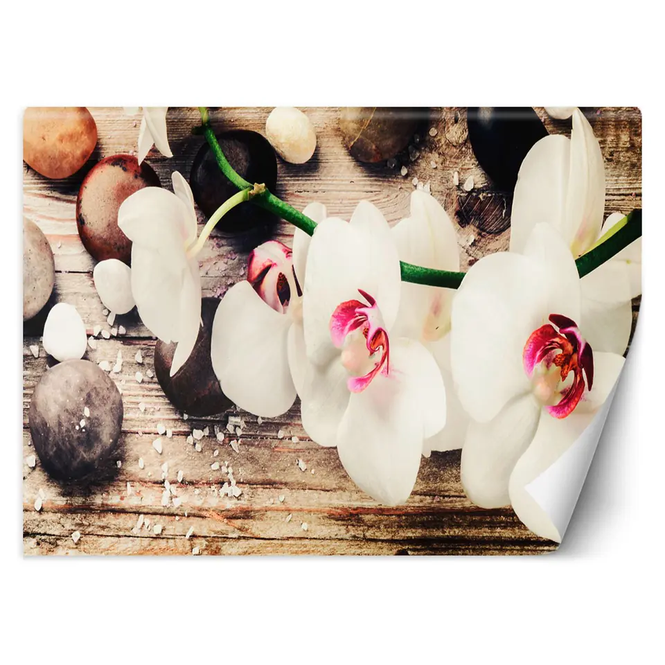 ⁨Fototapeta, Orchidea zen feng shui (Rozmiar 150x105)⁩ w sklepie Wasserman.eu