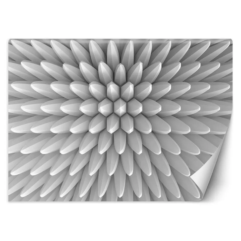 ⁨Fototapeta, Abstrakcja kolce tekstura 3D (Rozmiar 250x175)⁩ w sklepie Wasserman.eu