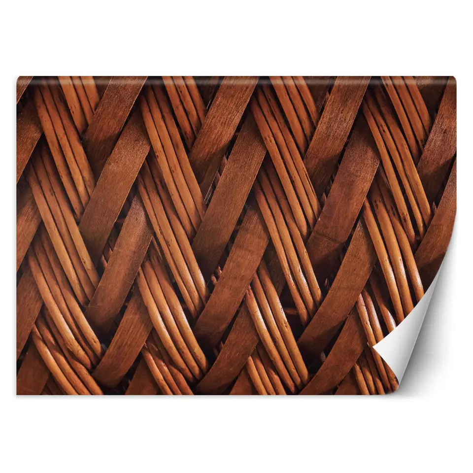 ⁨Fototapeta, Splot wikliny 3D (Rozmiar 150x105)⁩ w sklepie Wasserman.eu