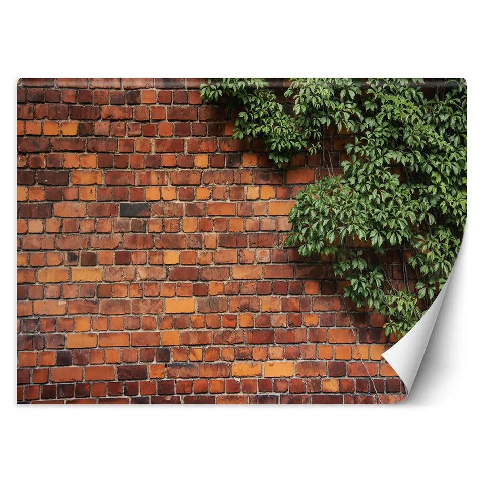 ⁨Fototapeta, Mur z cegły rośliny (Rozmiar 200x140)⁩ w sklepie Wasserman.eu