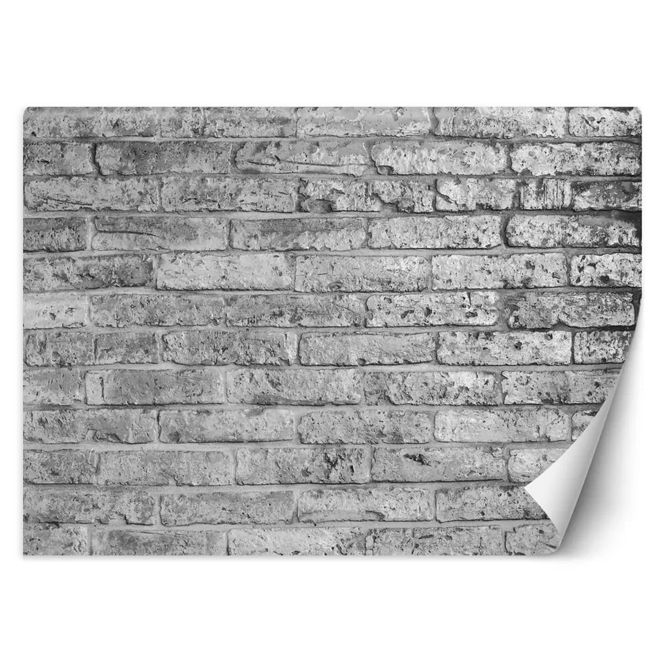 Wall mural, Wall of gray bricks (Size 150x105) at Wasserman.eu
