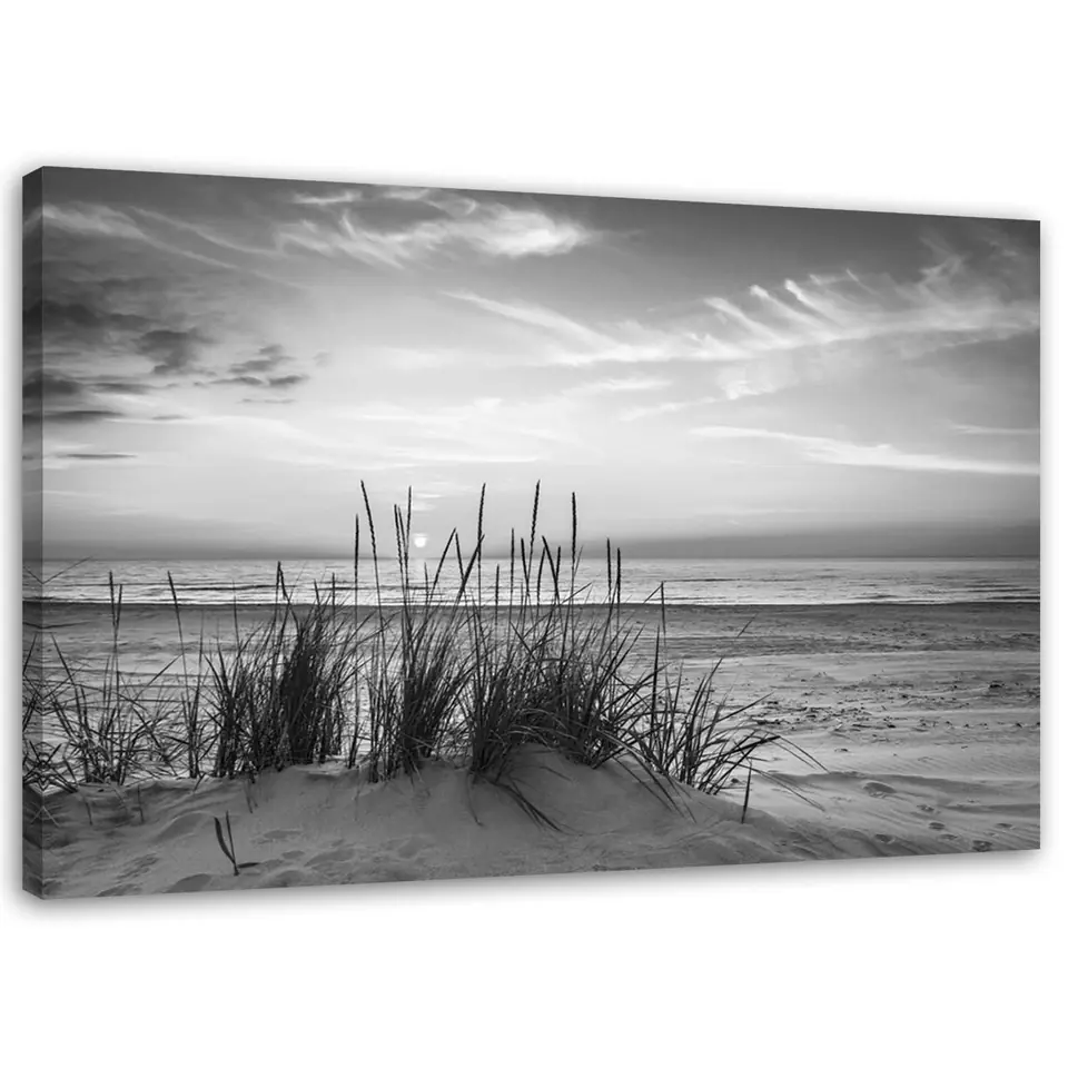 ⁨Obraz na płótnie, Trawy na plaży - czarno-biały (Rozmiar 120x80)⁩ w sklepie Wasserman.eu