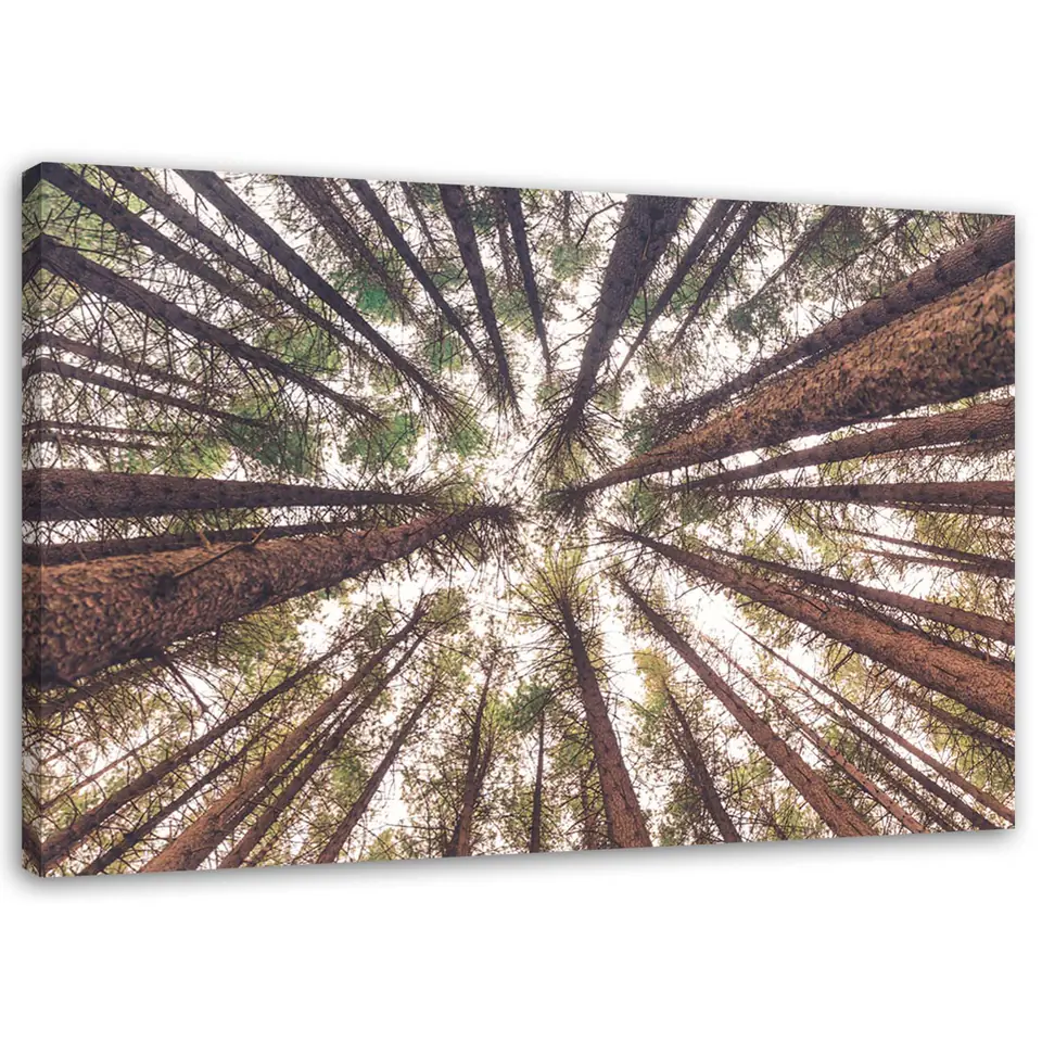⁨Painting on canvas, Tall pines (Size 60x40)⁩ at Wasserman.eu