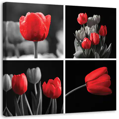 ⁨Obraz na płótnie, Zestaw czerwonych tulipanów (Rozmiar 50x50)⁩ w sklepie Wasserman.eu