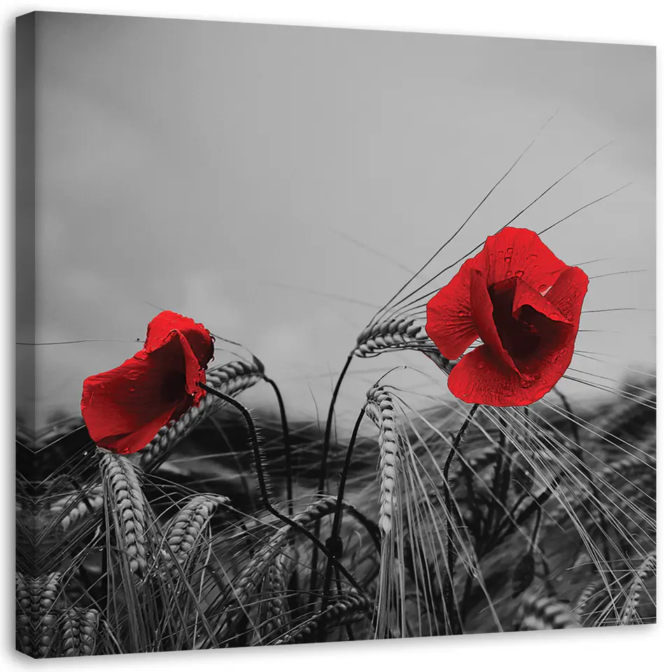 ⁨Painting on canvas, Red poppies and grain (Size 60x60)⁩ at Wasserman.eu