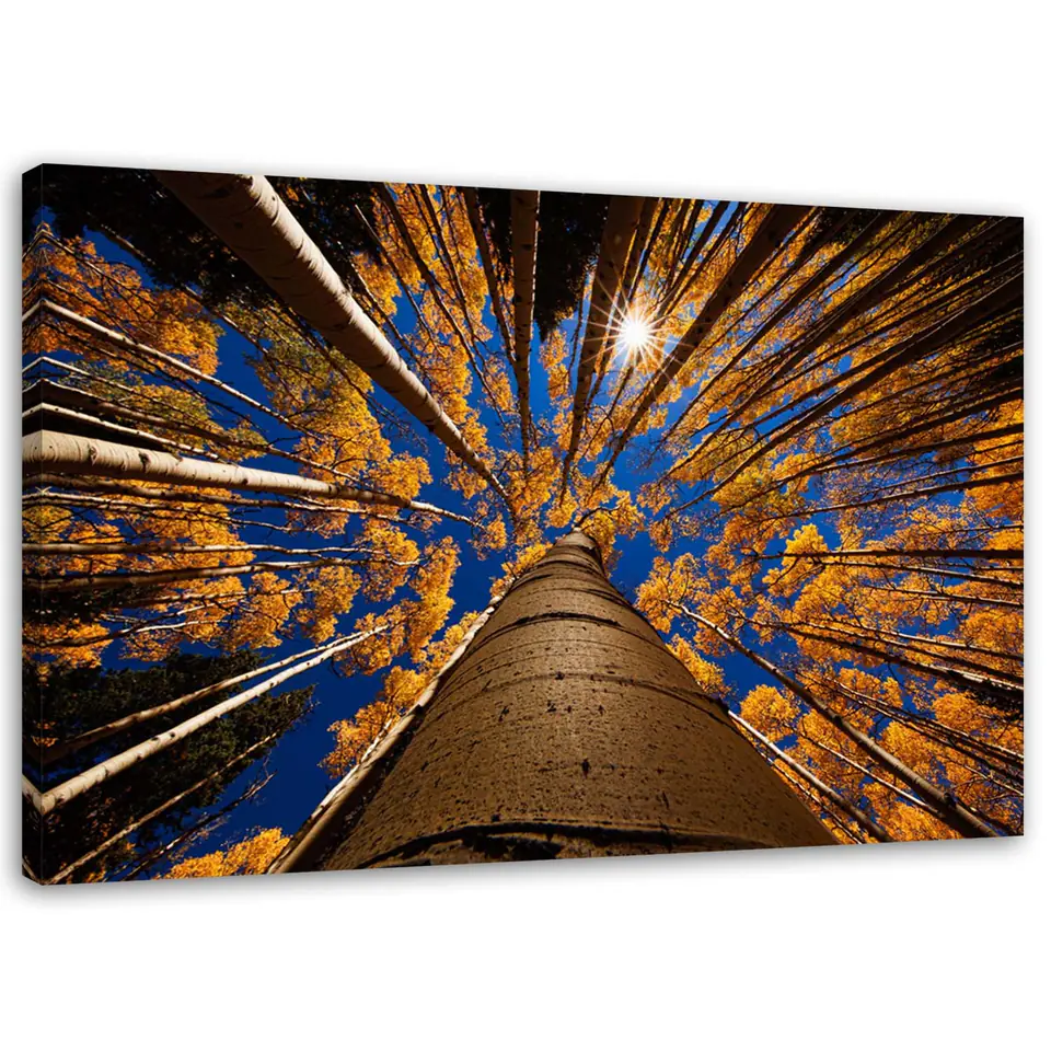 ⁨Canvas painting, Crowns of trees (Size 90x60)⁩ at Wasserman.eu