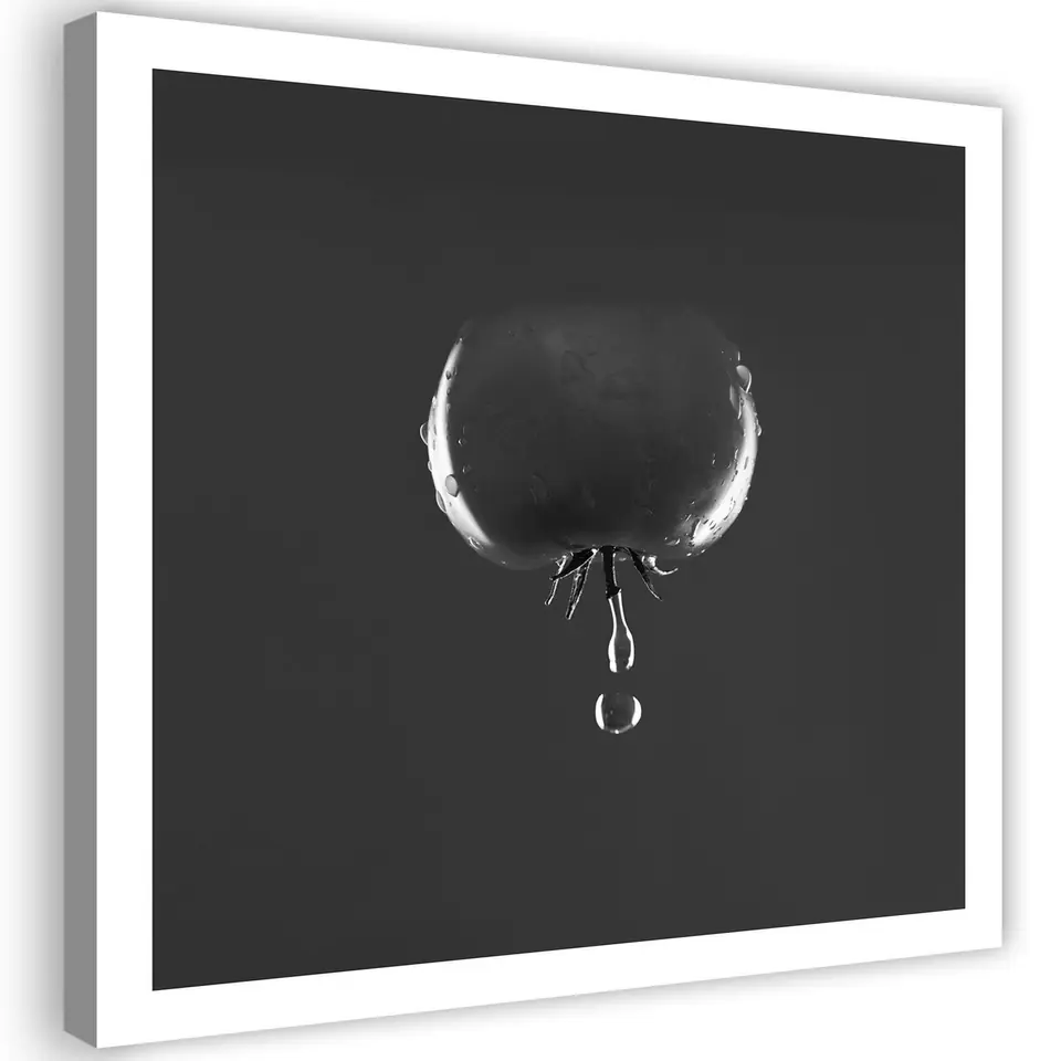 ⁨Obraz na płótnie, Pomidor i krople wody - czarno-białe (Rozmiar 40x40)⁩ w sklepie Wasserman.eu