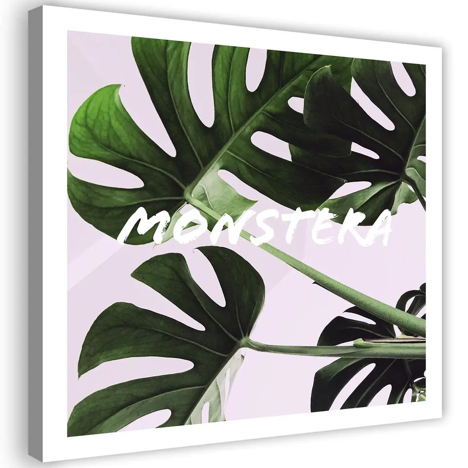 ⁨Obraz na płótnie, Egzotyczne liście Monstera (Rozmiar 60x60)⁩ w sklepie Wasserman.eu