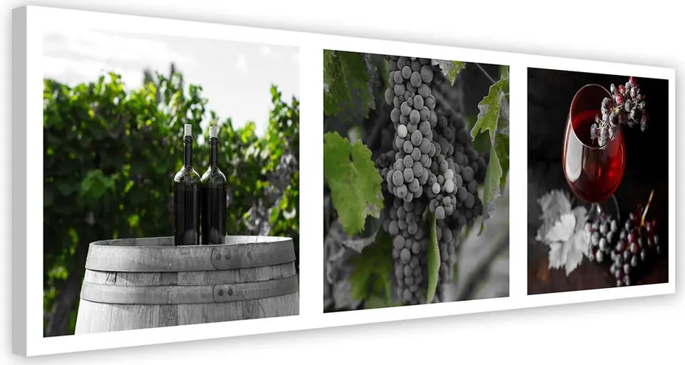 ⁨Painting on canvas, Magic of the vineyard (Size 120x40)⁩ at Wasserman.eu